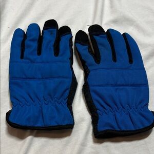 Blue and Black Winter Gloves